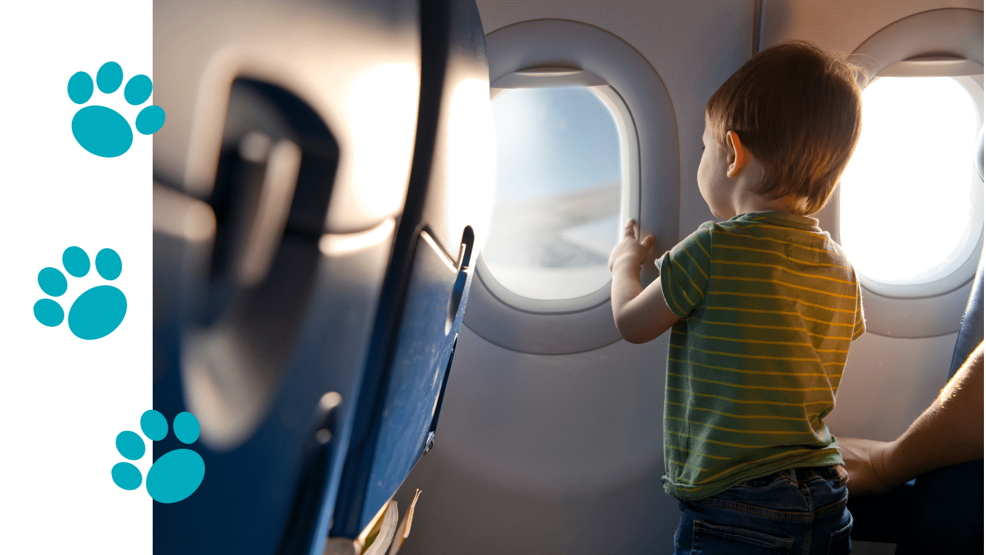 Viajar con bebés españa foto - Blackdragontours.com