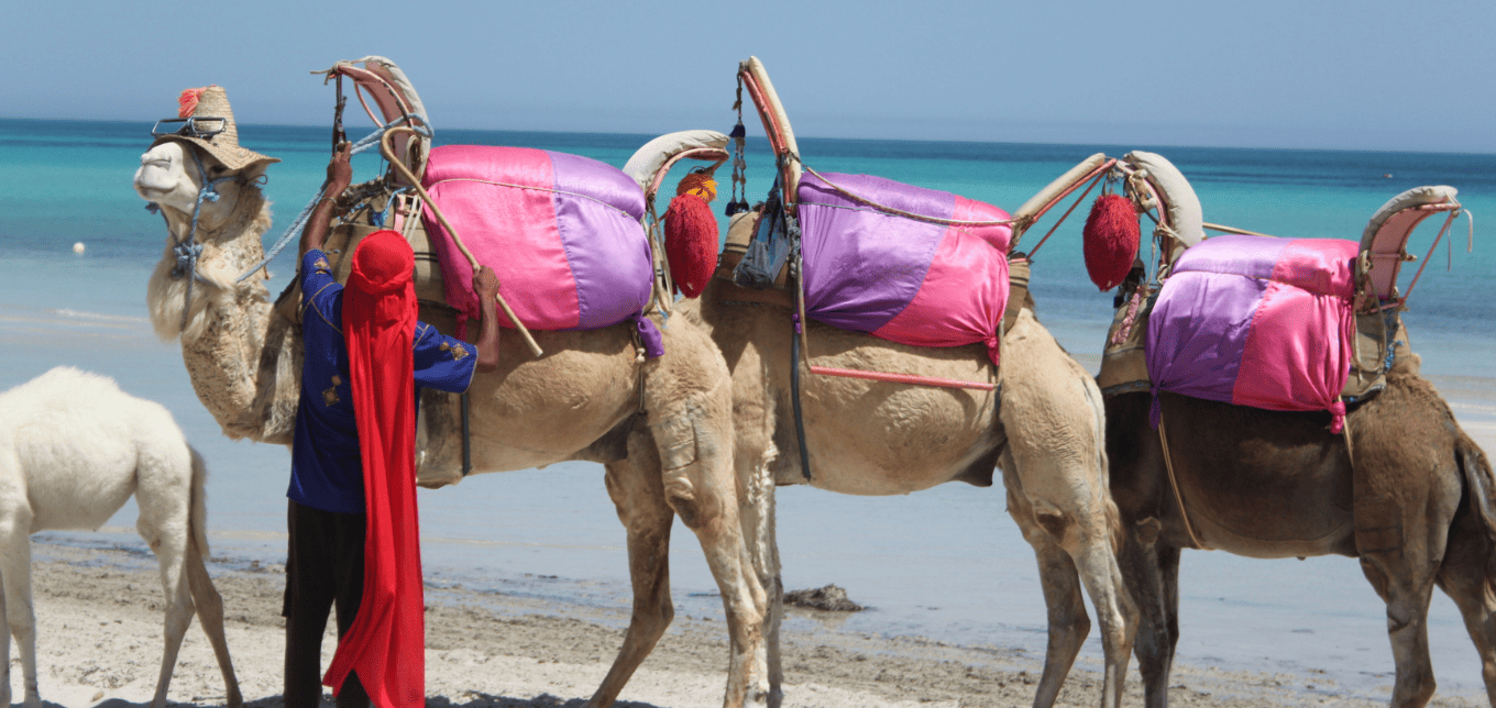 The perfect guide in Djerba | Luxair